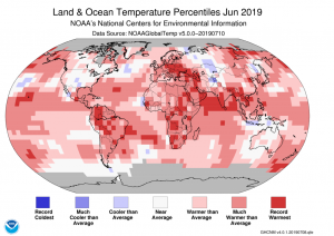 the world has a fever