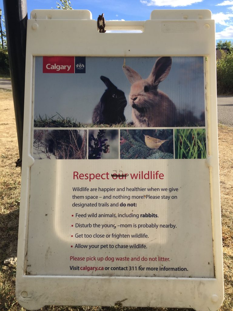 Calgary park wildlife sign