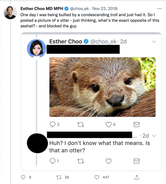 Ester Choo MD MPH tweets One day I was being bullied by a condescending troll and just had it. So I posted a picture of a otter - just thinking, what's the exact opposite of this asshat? - and blocked the guy. Esther Choo tweets a picture of an otter. Troll responds Huh? I don't know what that means. Is that an otter?